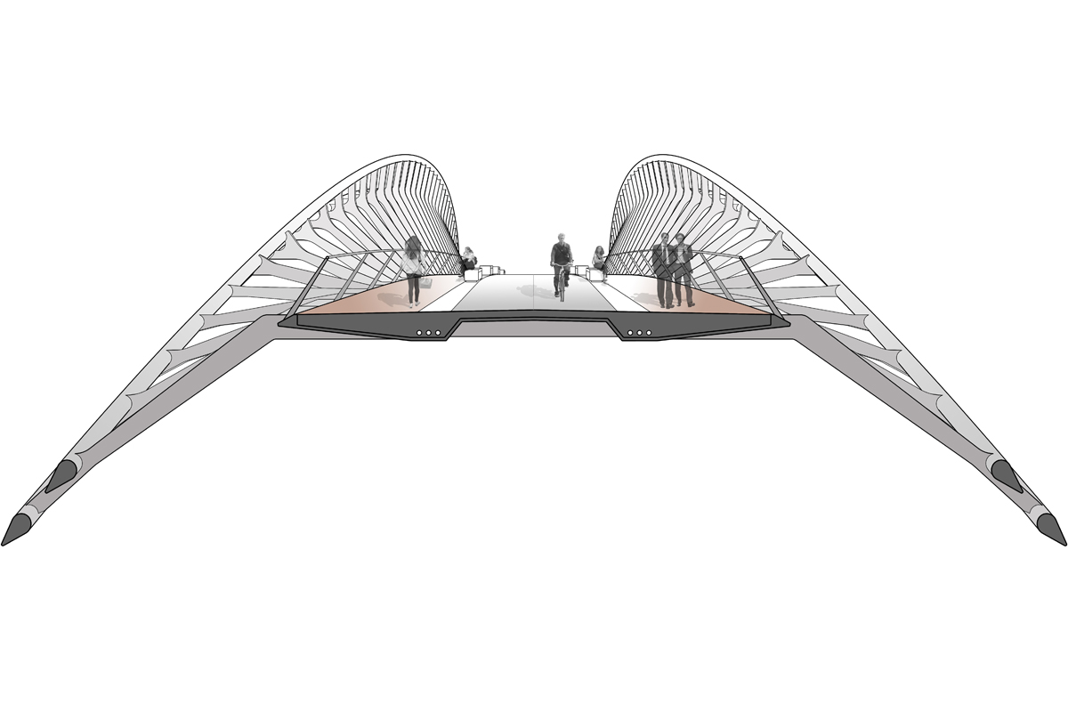 Showcase of BEandM projects